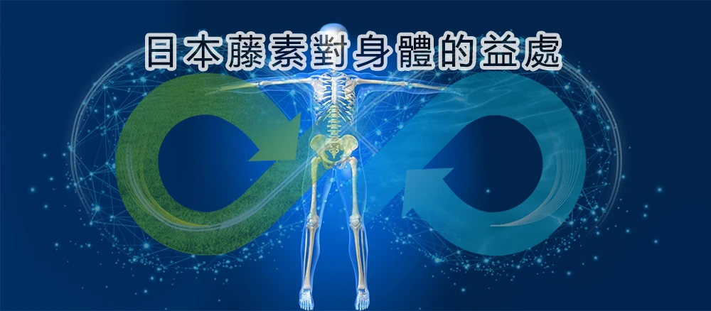 日本藤素開箱